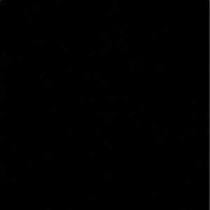 Meet your Posher, Marley